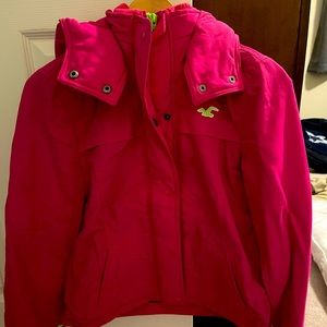 Hollister Winter Jacket